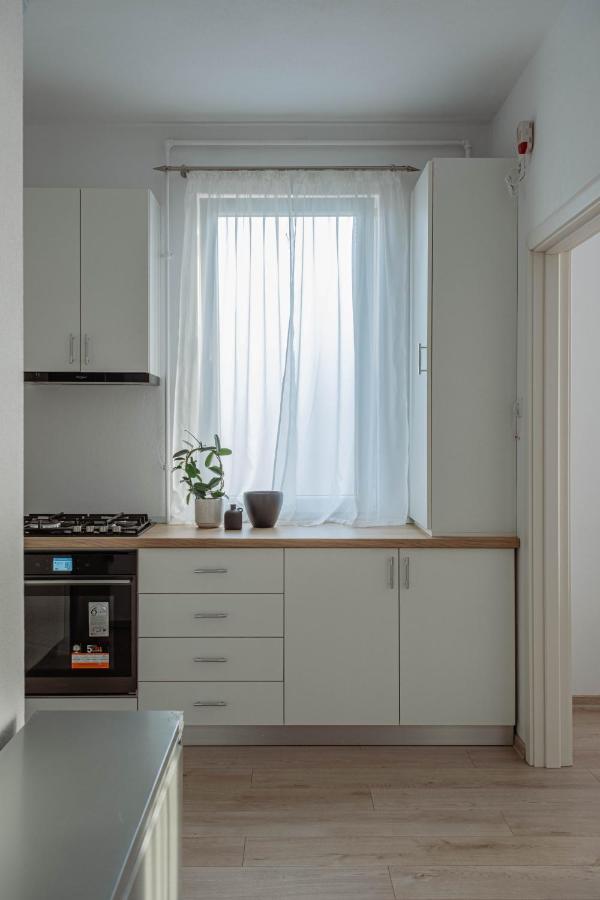 Solomon Apartments Ap 3 ซินจอร์จู เด มูเรช ภายนอก รูปภาพ
